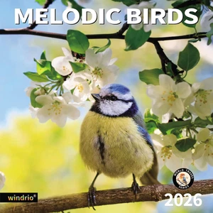 Calendario de Pared Windrio 2026 Pájaros Cantores Jul 2025–Dic 2026, 12" x 24" Pájaros de Jardín - Imagen 1 de 12