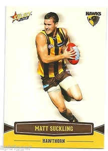 2013 Champions (124) Matt SUCKLING Hawthorn - Picture 1 of 1