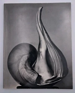 EW 100 Edward Weston Centennial Essays 1984 1st Ed Softcover Photography Book - Picture 1 of 9