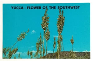 Yucca New Mexico State Flower of Southwest Spanish Bayonet Schaaf Postcard 1976 - Picture 1 of 2