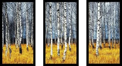 Brand New w/Light Damage Picture Perfect International Birch Trees Framed AR33 - Image 1 of 4