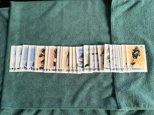 2003 Fleer Focus Football Karten Lot 31 Karten einige Dups STRAHAN WARD TIM BROWN - Bild 1 von 4