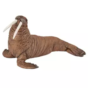 Collectible Papo Marine Life Walrus Action Figure for Ages 3 Years and Up - Picture 1 of 1