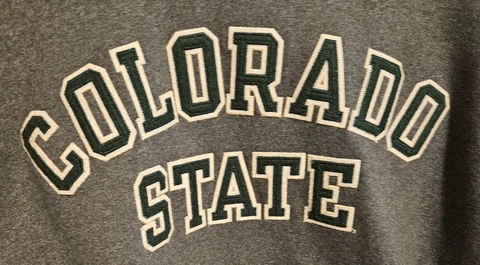 Colorado State University Rams Hoodie Women's Size Medium Champion Gray Cover