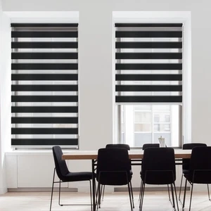 Zebra Dual Roller Shade 21.7x59 Black Light Filtering Day Night Window Blind - Picture 1 of 7