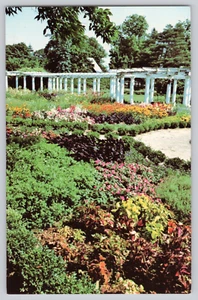 Postcard Canandaigua New York Colonial  Garden at Sonnenberg Gardens & Mansion - Picture 1 of 3