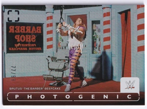 Brutus Beefcake | Numbered 77/99 | Silver | WWE 2024 Panini Photogenic - Bild 1 von 2