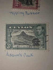  Francobollo vintage Ceylon 3c usato - #F806 - Foto 1 di 1