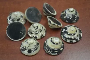 10 PCS BLACK PICA SHELL WITH PLASTIC BACK CHARM BEADS 1" #T-119F - Picture 1 of 1