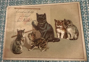 W L HUBBARD DRY & FANCY GOODS GATTO ANTROPOMORFO VITTORIANO "INSEGNANTE" & GATTINI - Foto 1 di 6