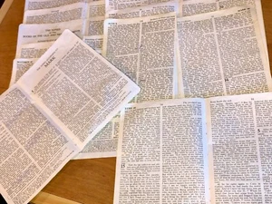 20 Stck. Vintage 1952 KJV Heilige Bibel Buch Seiten zufälliges Lot ~ Basteln * Decoupage * Trödel Zeitschriften - Bild 1 von 4