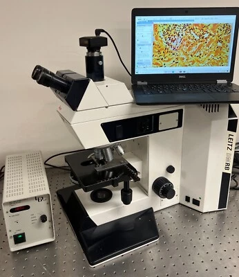 Microscopio de contraste de fase de fluorescencia Leica DMRB DMR Foto 1 de 4