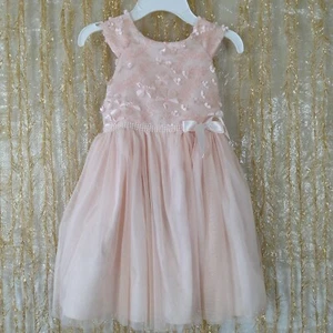 Girls Youngland Light Salmon Color 3D Floral Dress Size 4 - Picture 1 of 9