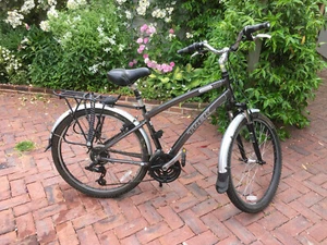 Trek Navigator 2.0 City & Trekking Bike - Picture 1 of 5