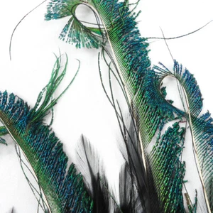 Perial Co Peacock Feather Pads for Costumes, Designs, Decor, Crafts and Arts - Picture 1 of 12