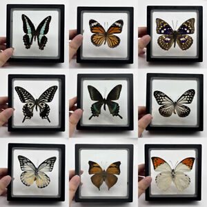 1pcs Real Butterfly Specimen Rare Natural Butterfly Photo Frame Wall Decoration
