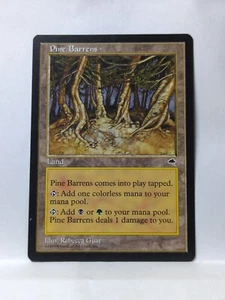 Pine Barrens Tempest Regular - Picture 1 of 2