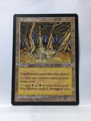 Pine Barrens Tempest Regular - Image 1 of 2