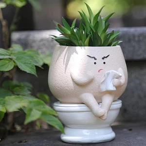 Funny Face Toilet Planter with Drainage Hole for Indoor Plants, Cute Self Wat... - Picture 1 of 6