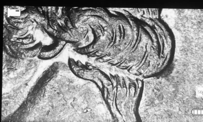 1996 P Washington quarter ERROR - SEPARATION IN WIG EXTREMELY RARE! - Image 1 of 4