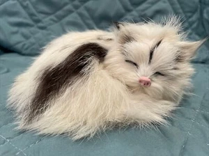 Lifelike Realistic Soft Stuffed Sleeping  Furry Simulation Kitten Cat Figurine - Picture 1 of 10