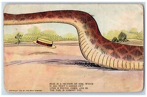 Westboro Missouri MO Postcard The Tail Is Coming Yet Installment Puzzle 1907