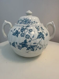 Antique Ironstone Sugar Bowl or Tea Caddy Autumn Pattern W & E CORN ENGLAND - Picture 1 of 8