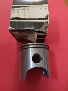 Ski-Doo New OEM Piston With Rings 420887551 69.70 1996 Mach Summit Grand Tour  - Imagen 1 de 2