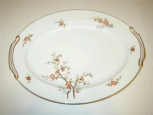 Plato para servir ovalado grande noritake china Brenda 3064 16-1/2" borde dorado floral - Imagen 1 de 6