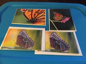 Schmetterling Grußkarten mit Umschlägen leer Umweltschutzfonds unbenutzt - Bild 1 von 2