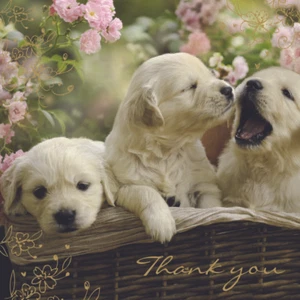 Paquete de 5 tarjetas de papel de aluminio de lujo de cachorros en cesta de tarjetas de agradecimiento - Imagen 1 de 1