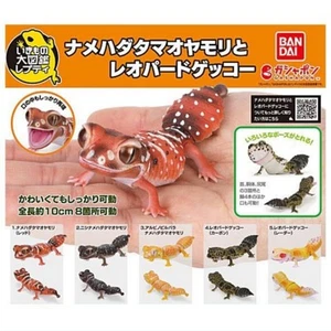 Ikimono Encyclopedia Repti Namerhadatama & Leopard Gecko Komplettset 5 Gashapon - Bild 1 von 1