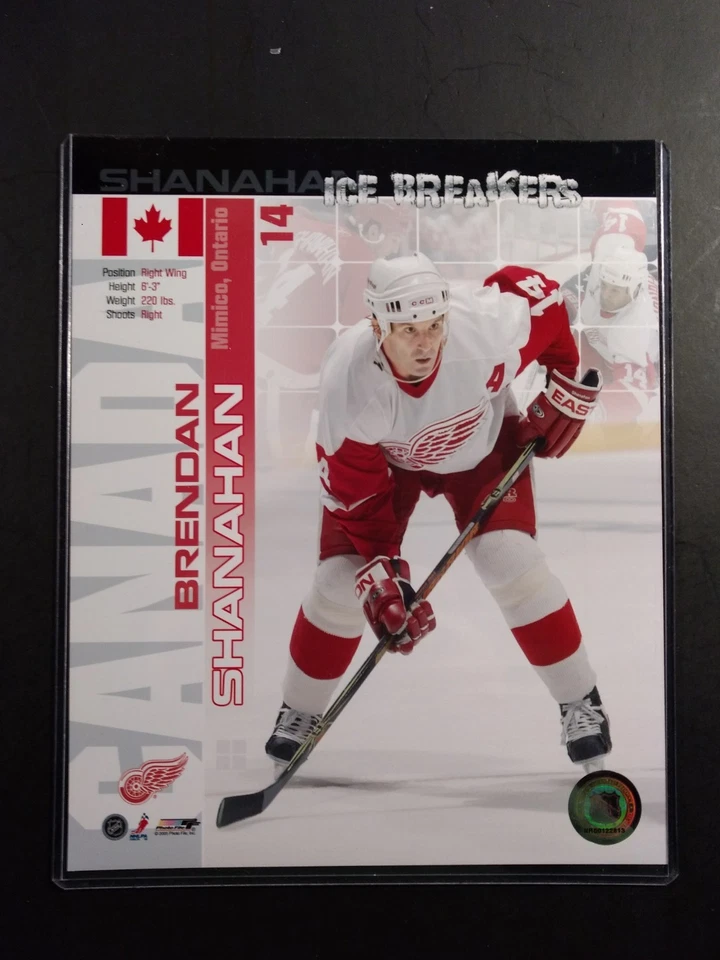 Foto 8X10 Rompehielos Brendan Shanahan DETROIT RED WINGS Foto 1 de 1