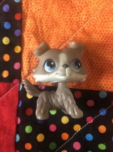 Authentic Littlest Pet Shop Collie #67