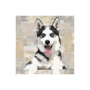 Impresión sobre lienzo sobre papel póster o imagen Rodgers Keri +++ Husky siberiano - Imagen 1 de 2