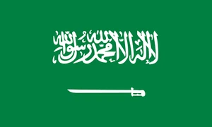 Bandera de Arabia Saudita 90x150cm o 60x90cm/3x5ft o 2x3ft - Imagen 1 de 5