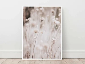 Neutral Cotton Grass Photography Wall Art Print. Great Home Decor - Picture 1 of 5