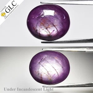 💎 GLC CERTIFIED 14.14ct Oval Natural Purple Red 6 Ray Star Ruby - Unheated, Gem - Picture 1 of 7