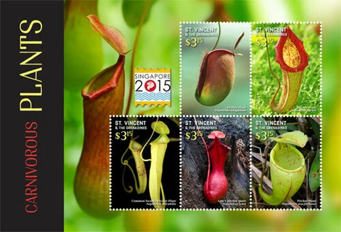 St. Vincent 2015 - Carnivorous Plants, Singapore Expo - Sheet of 5 Stamps - MNH Cover