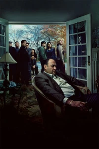 The Sopranos Tv Show Series Movie Crime Wall Art Home Decor - POSTER 20x30 - Picture 1 of 4