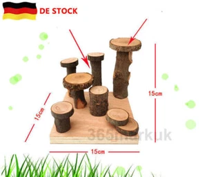Hamster Holzleiter Klettergerüst Goldener Bär Holzspielzeug Holz Molarenbedarf - Bild 1 von 2