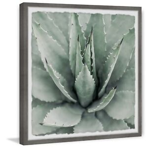 Marmont Hill Toothed Leaf Succulent Framed Painting Print