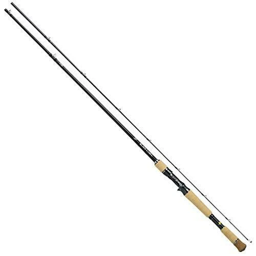Daiwa BLACK LABEL SG 641LFB Baitcasting Rod for Bass - Image 1 of 1