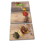 Culinary Herbs Spices Indian Food Kitchen TREBLE Leinwand Kunst Bild drucken