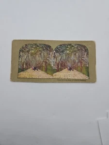 "Under The Live Oaks Of A Florida Highway" Stereoview Card "Around The World" - Picture 1 of 4