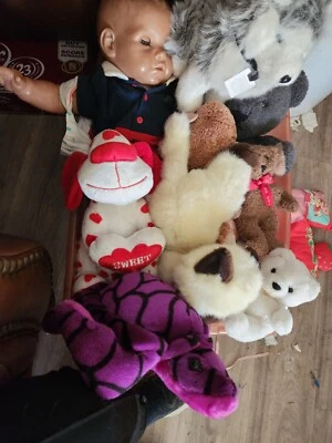 lote de peluches usados parche de repollo mixto  Foto 1 de 2