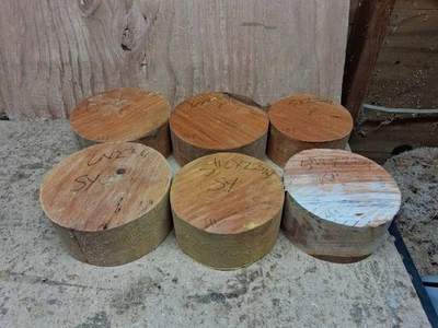 Lote de 6 cuencos giratorios de madera de sicómoro de aliso rojo ciruela en blanco Foto 1 de 4
