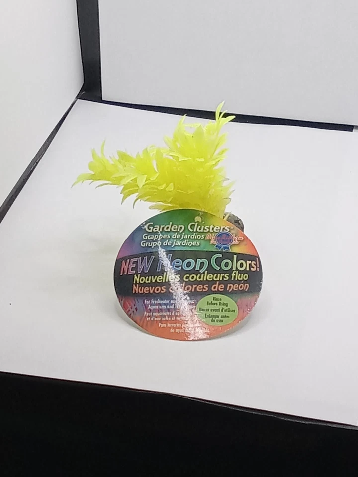 Blue Ribbon Exotic Mini Plant Neon Yellow - Image 1 of 1