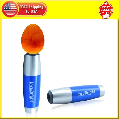 Vela de huevo LED ultra brillante Incu-Bright™ - portátil para todos los tamaños de huevos Foto 1 de 4