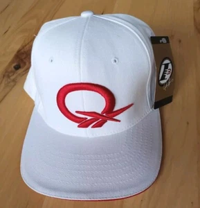 Gorra ajustada de colección 2001 Reebok Allen Iverson Question I3 edición limitada 7-1/2 - Imagen 1 de 8